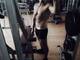 in palestra