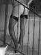 gambe