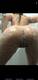 Private Photo of Alice_97