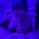 Blowjob