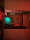 Red Light