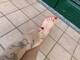 My feet