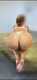 Private Photo of MissClaudia_