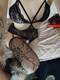 sexy lingerie