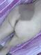 Chiappe