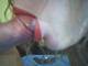 Private Photo of curvy_estasi