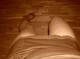 Foto privata di beatrix_k23