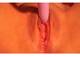 pussy close up