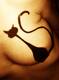 le chat