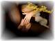 Foto privata di Lady_Anal