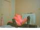 PUSSY IN BOOTS