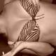 tigre..