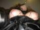 Private Photo of Rosa99773