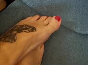 piedini